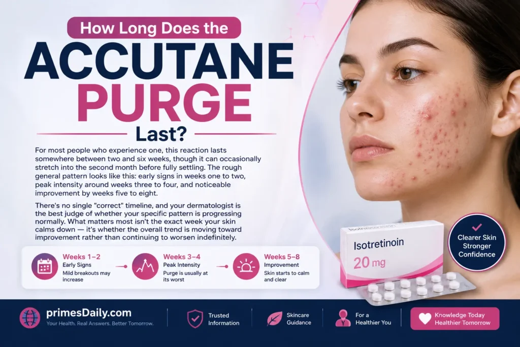 How Long Does the Accutane Purge Last How Long Does the Accutane Purge Last?