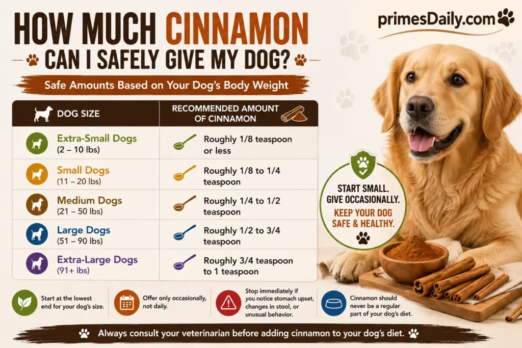 How Much Cinnamon Can I Safely Give My Dog?
